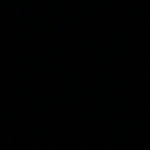 Meet your Posher, Arden